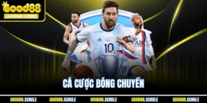 Cá Cược Bóng Chuyền | Hình Thức Thể Thao Hút Khác Tại Good88