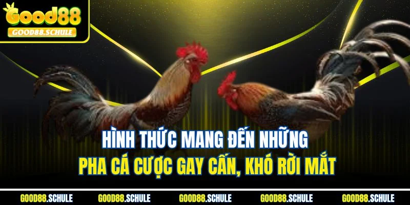 Hình thức mang đến những pha cá cược gay cấn, khó rời mắt