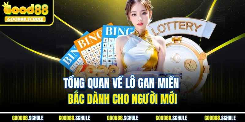 Tổng quan về lô gan miền Bắc dành cho người mới